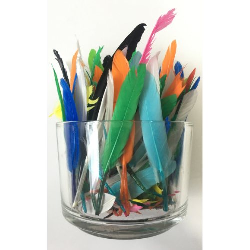 Coloured Feathers