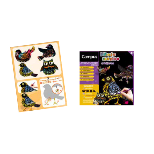 Birds Drawing Set - Age 3+