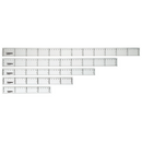Ruler - Plastic Transparent (30 cms) (Campus)